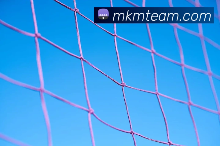 mk体育全站App mk体育全站App
